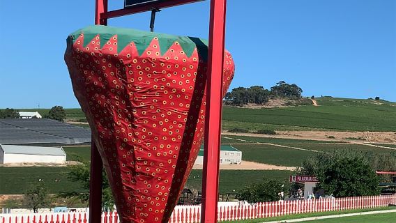 Polkadraai Strawberry Farm