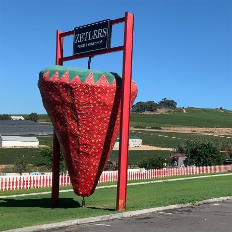 Polkadraai Strawberry Farm