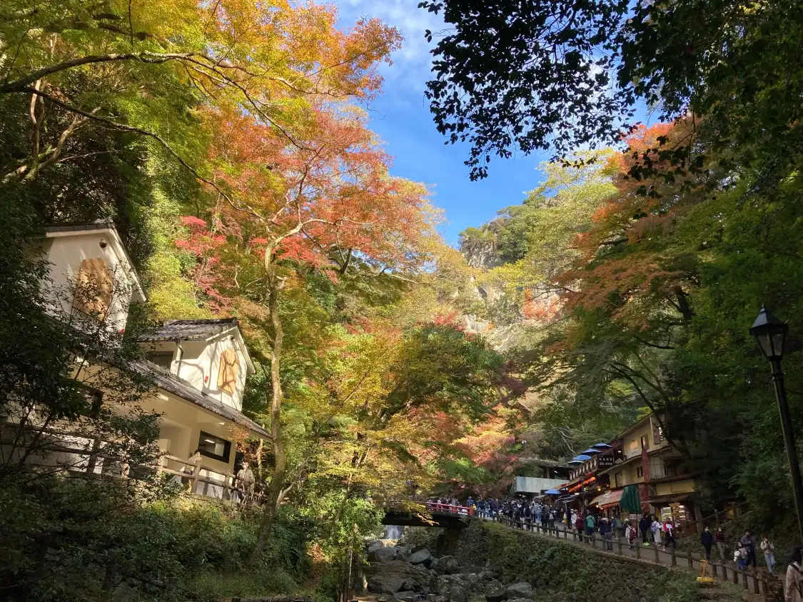 Hotels near Minoo Park