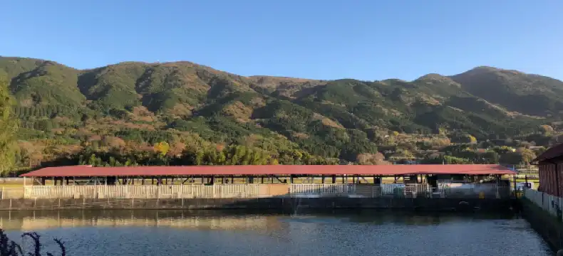 函南町のホテル