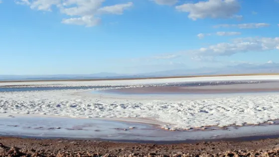 Laguna Cejar