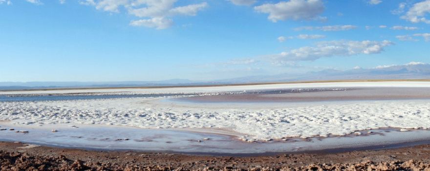 Laguna Cejar