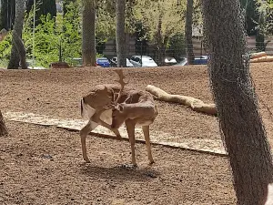 Guadalajara Zoo