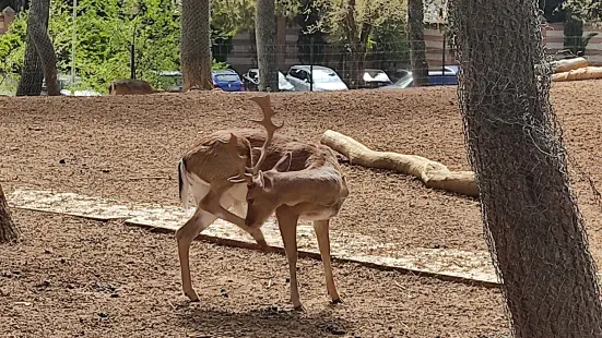 Guadalajara Zoo