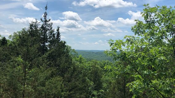 Mark Twain National Forest