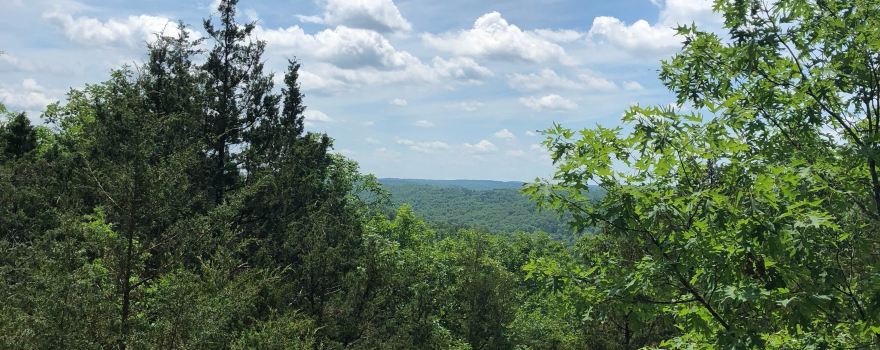 Mark Twain National Forest