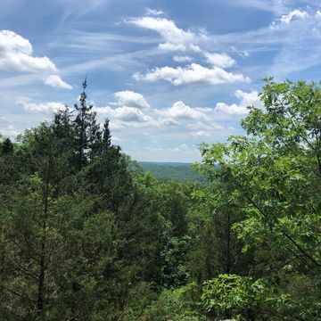 Mark Twain National Forest