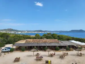 El Castillo de la Punta de Amer