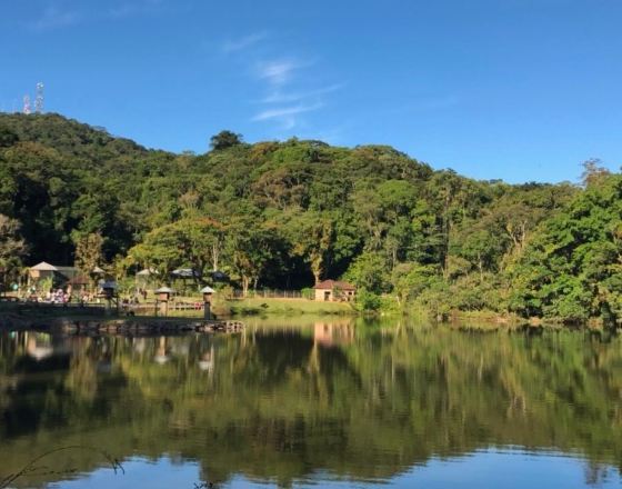 若因維利 自由行套票