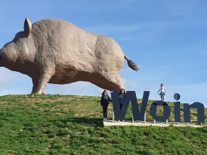 Woinic