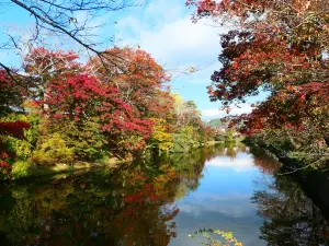 Kamegajo Park