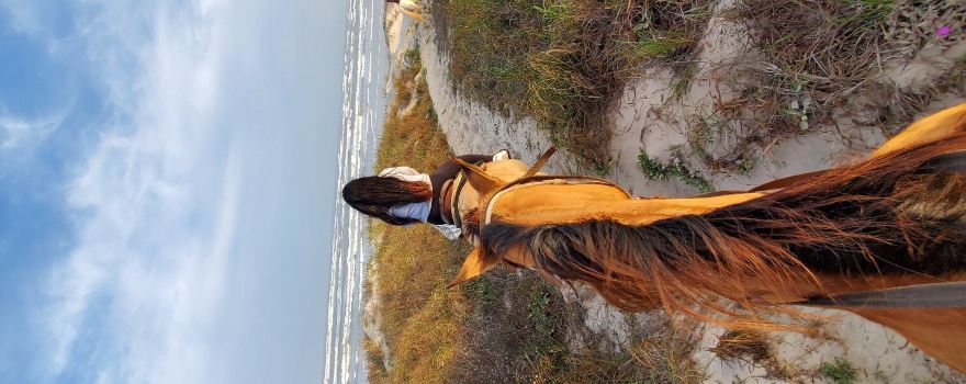 Horses on the Beach