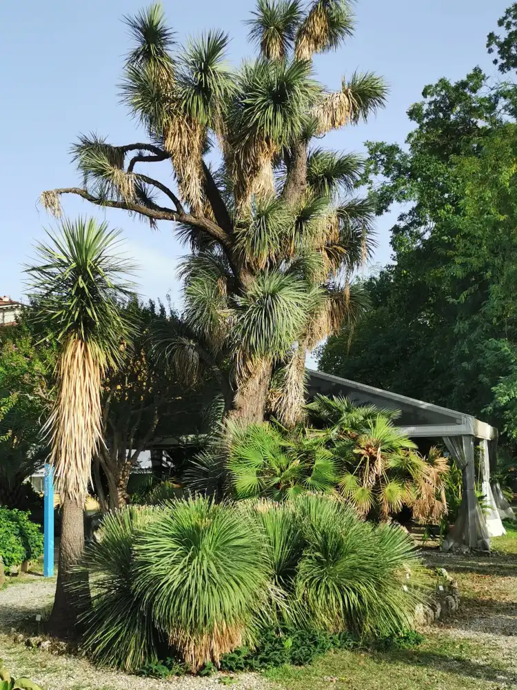 Hotels near Museo di Storia Naturale, Orto Botanico “Giardino dei Semplici”
