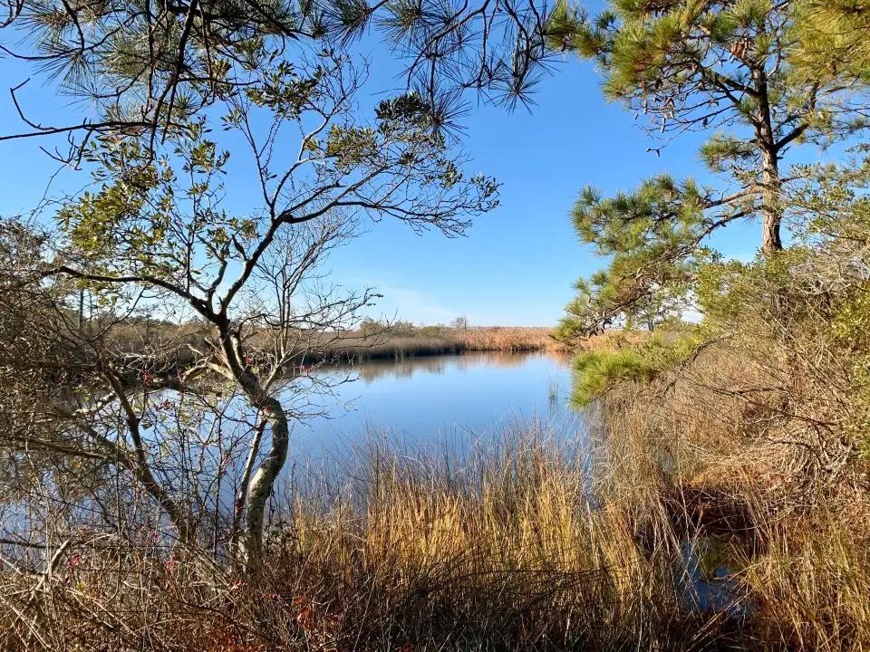 1_False Cape State Park