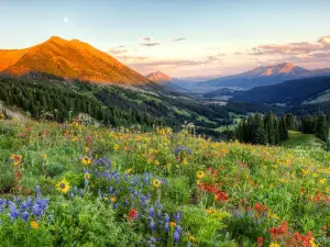 Kebler Pass