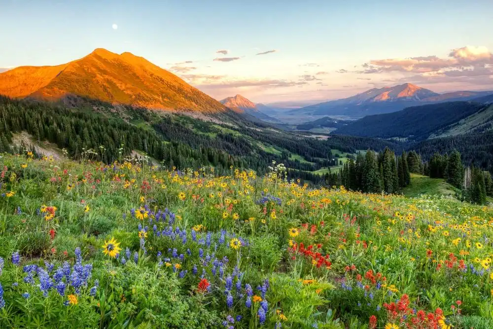 Hotels near Kebler Pass