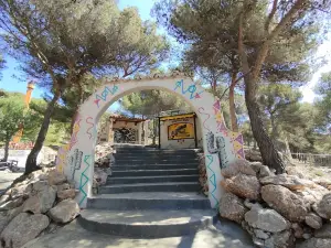 Magic Park Land