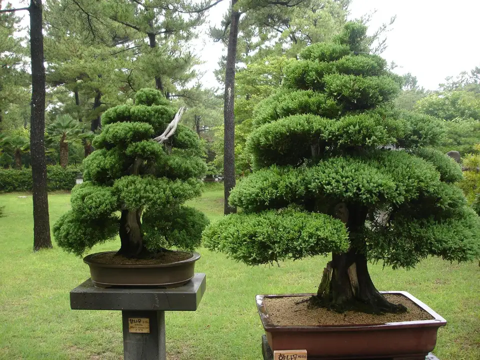4_Hallim Park