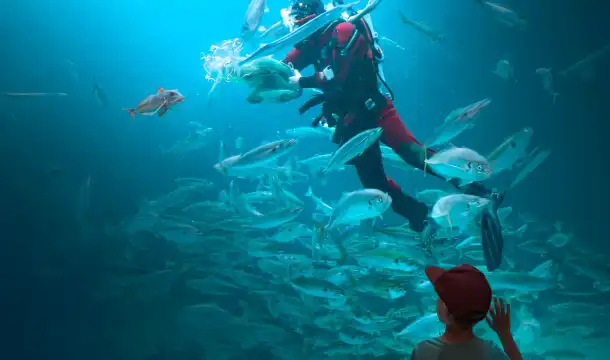 The North Sea Oceanarium周辺のホテル