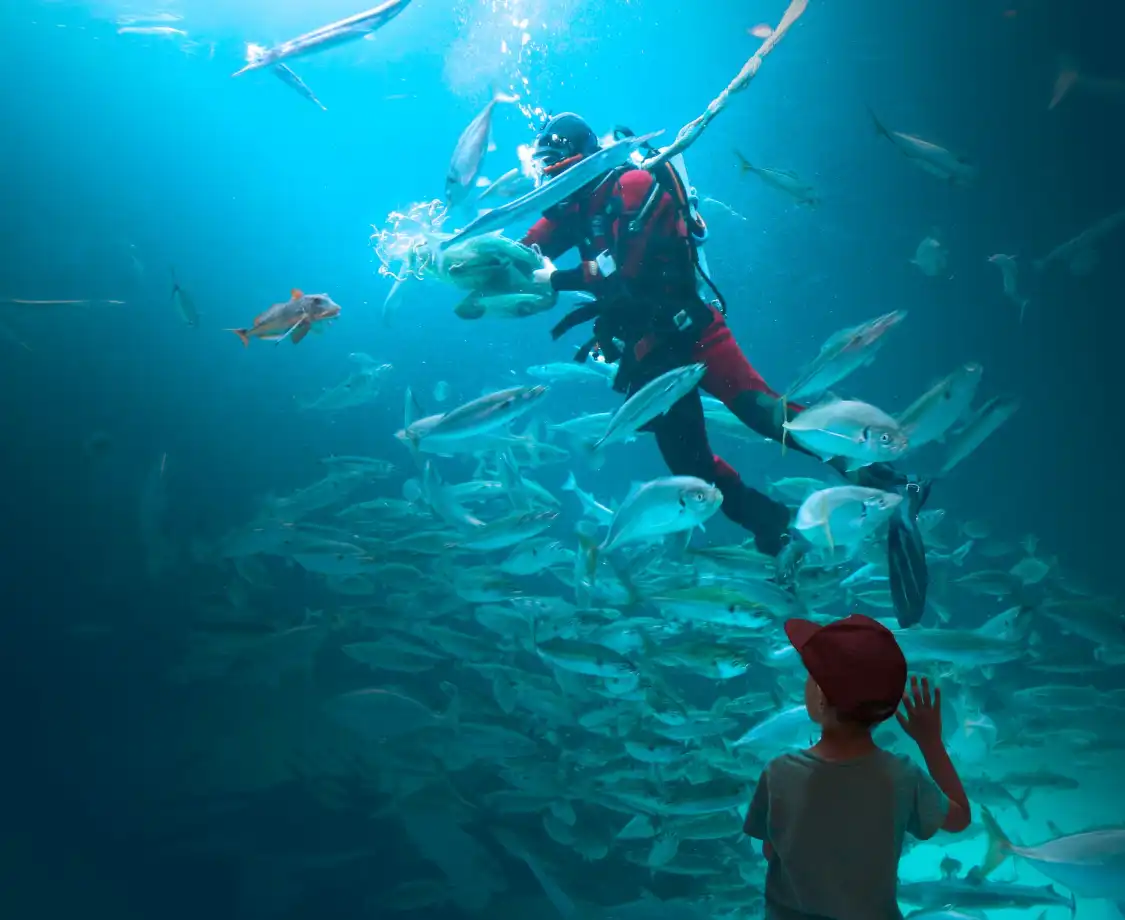 Nordsomuseet 주변 호텔