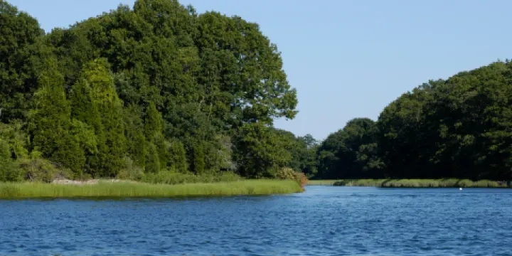 Touisset Marsh Wildlife Refuge