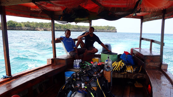 Diving Poseidon