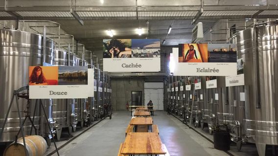 Pierre & Bertrand Couly