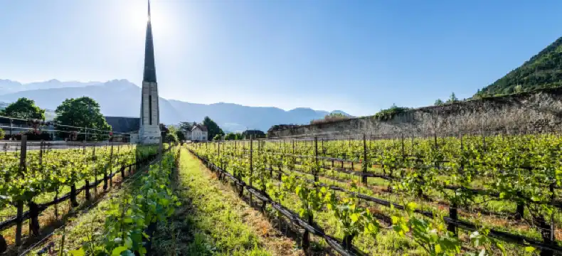 Hotels in Algund
