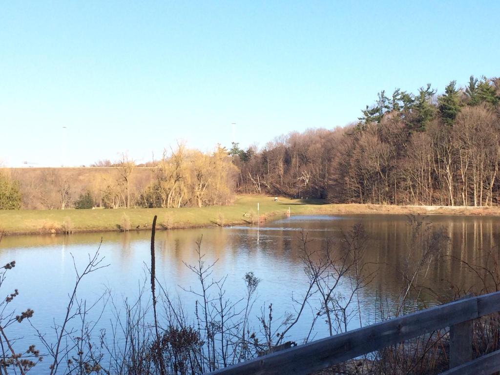 Popular Ski Resorts in Toronto