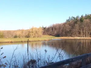 토론토의 인기 스키