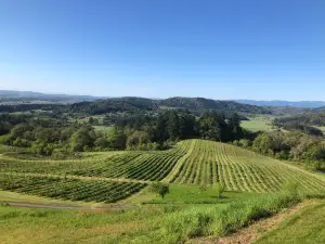 Youngberg Hill Inn & Winery