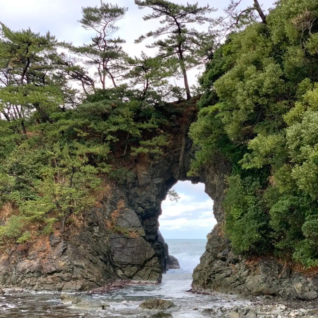 시로야마 공원 주변 호텔