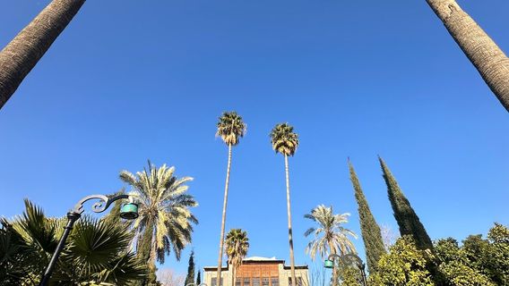 Делгоша Гарден