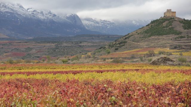 Bodegas Lecea