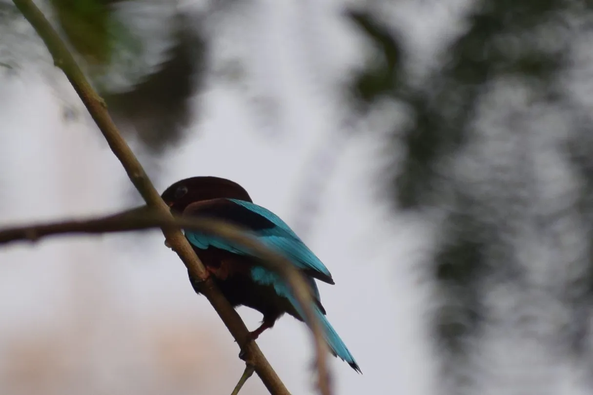 1_Lokhandwala Lake