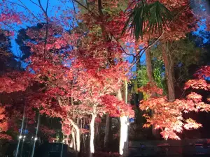 Kashiwazaki Shōunsansō