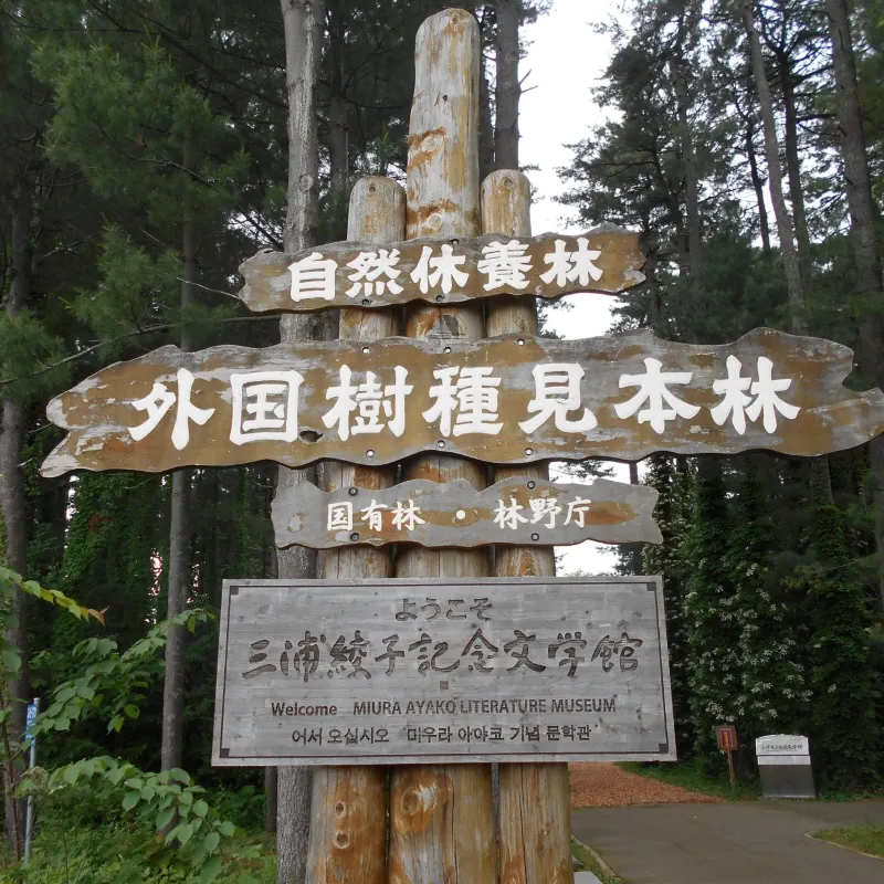 旭川外國樹種見本林