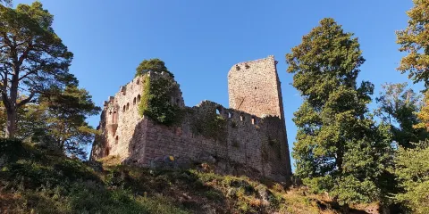 Chateau de Landsberg