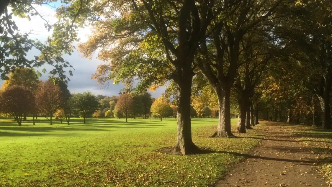 Hotels near Tyne Green Park