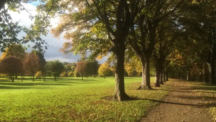 Hotels near Tyne Green Park