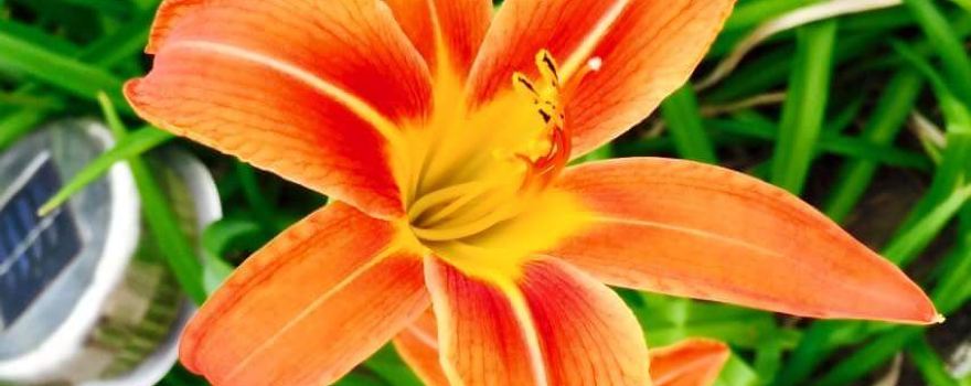 Provincia di Ha Tinh