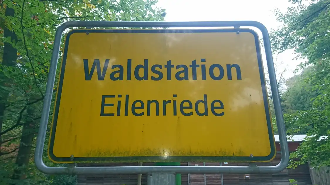 Hotel dekat Waldstation Eilenriede