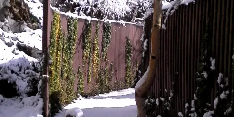 Museo de Estelas - Hilarriak