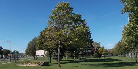 Royal Oak memorial Park