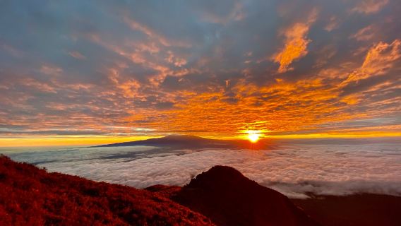 Kilimanjaro Wonders Expedition Safari