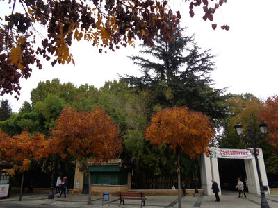 Parque Pedro Antonio de Alarcon