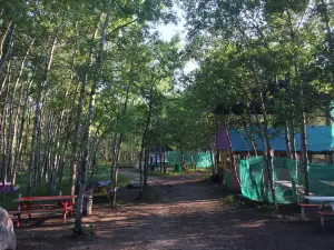 Paintball Paradise
