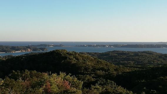 Pearl road observation deck