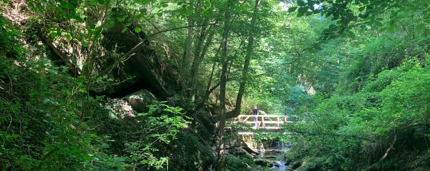 Abenteuer Ehrbachtal