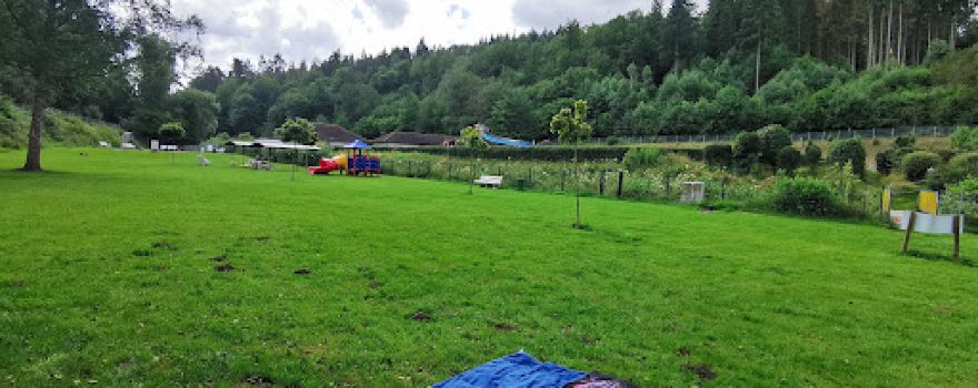 Waldschwimmbad